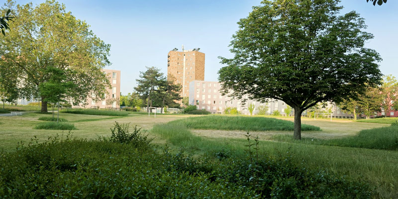 gestion defirenciée pelouse courtilliere pantin